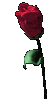 9-fleur-rouge-1.gif