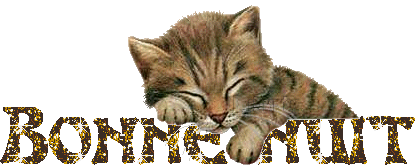 bonne_nuit_338.gif