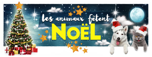 Le Noél des Animaux