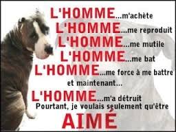 images-33.jpg