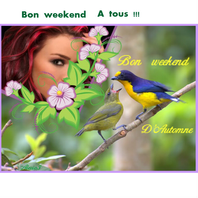 Bon Weekend